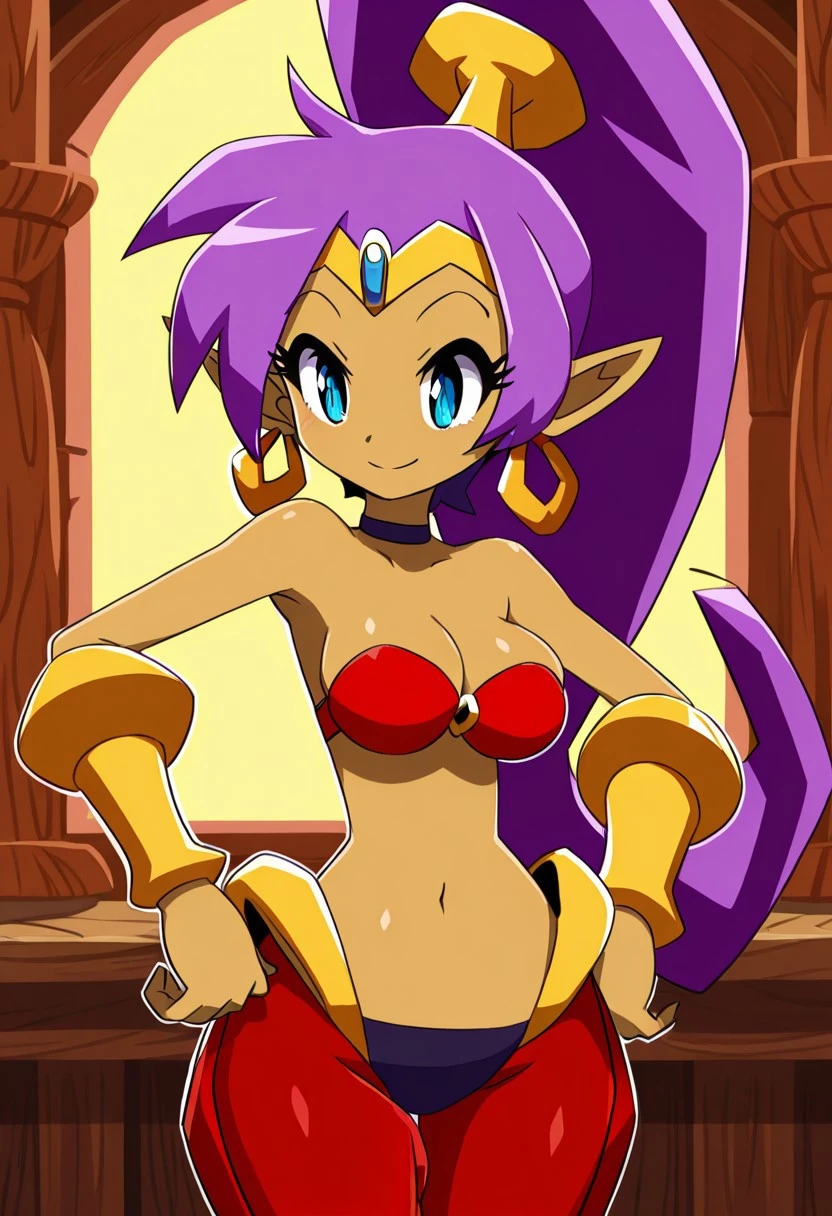 Shantae and the Seven Sirens Style [Illustrious] v2