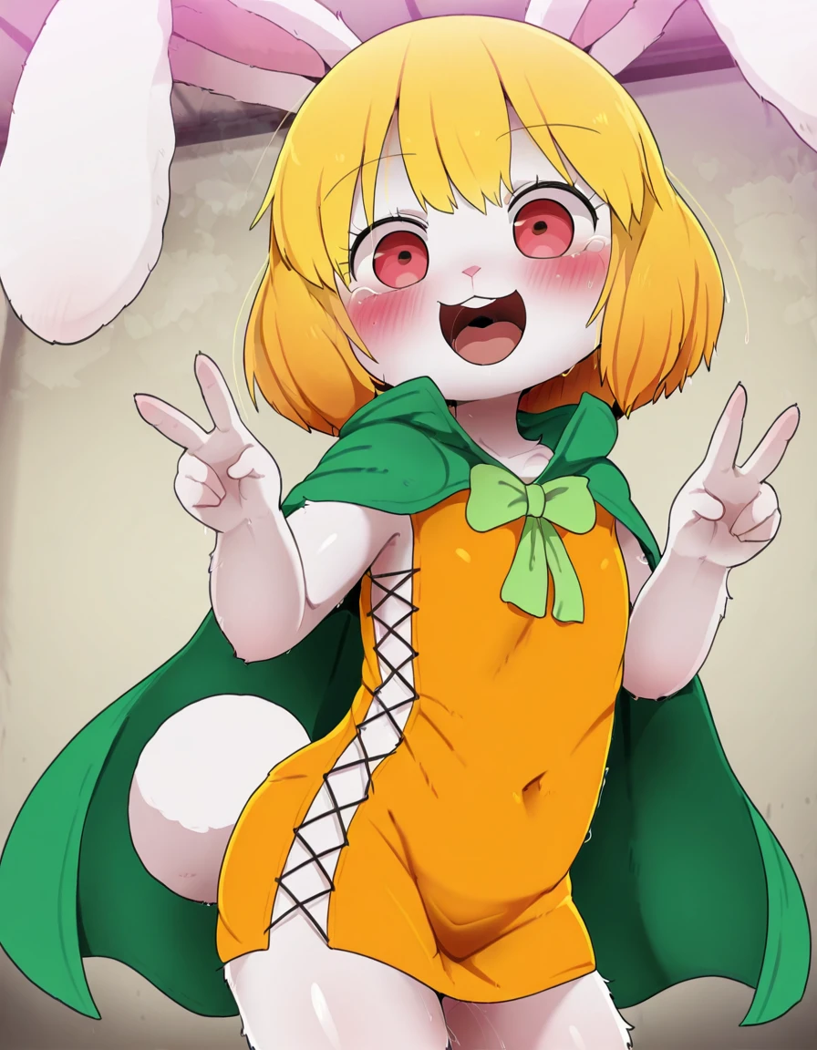 Carrot (Dagasi Style) | One Piece CarrotDagasi_ILv1.0