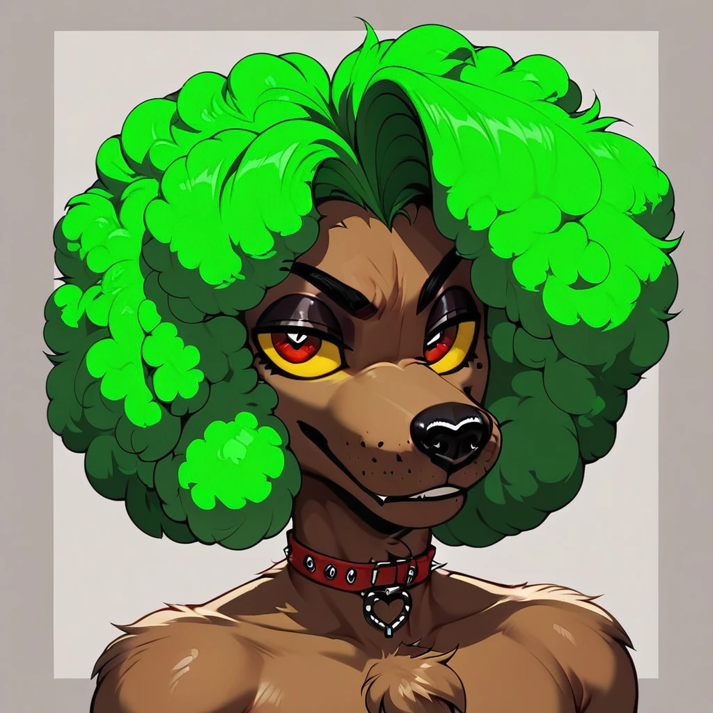 Poodle 25 V1