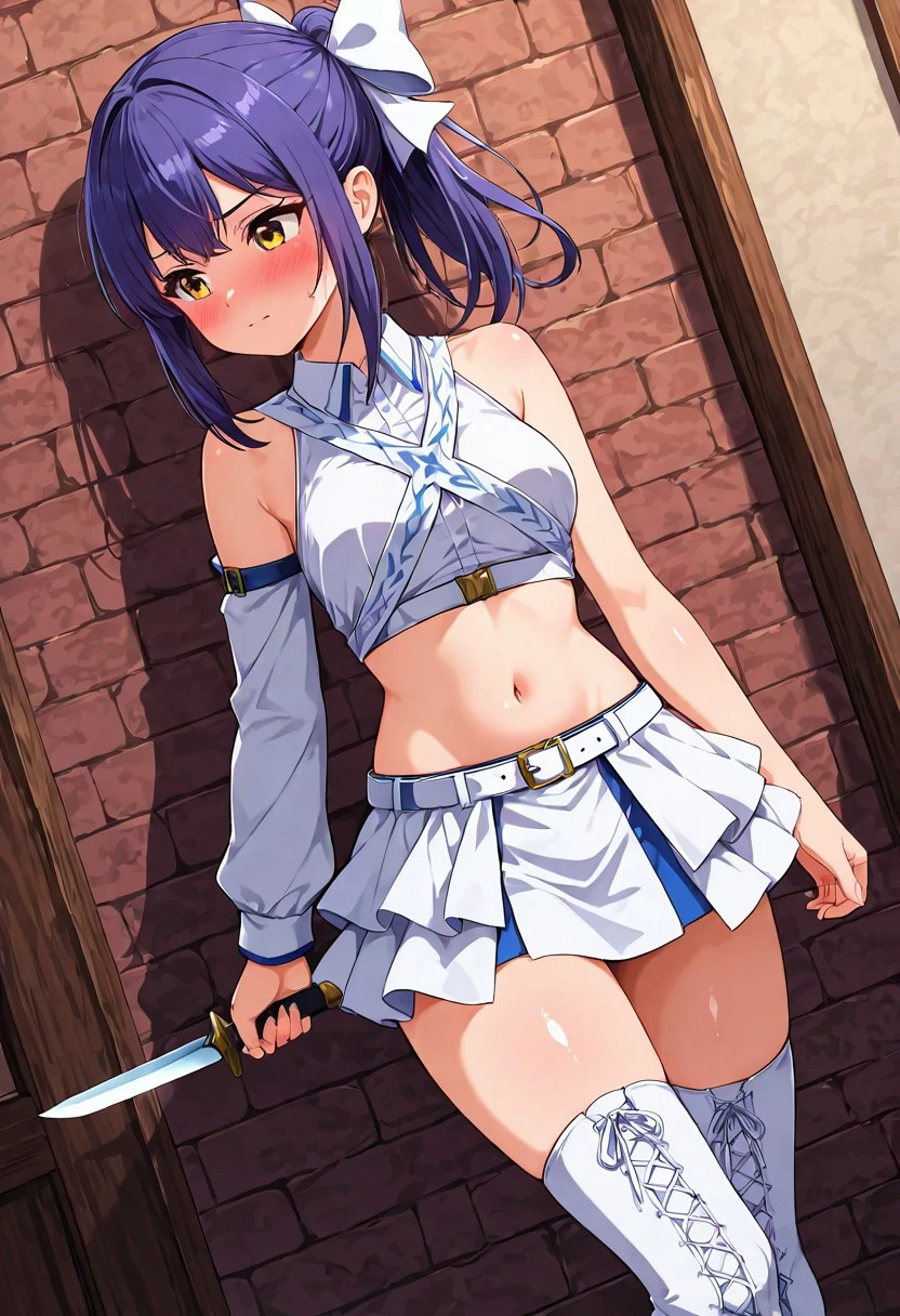 Aina (Dark Hero Party) V1