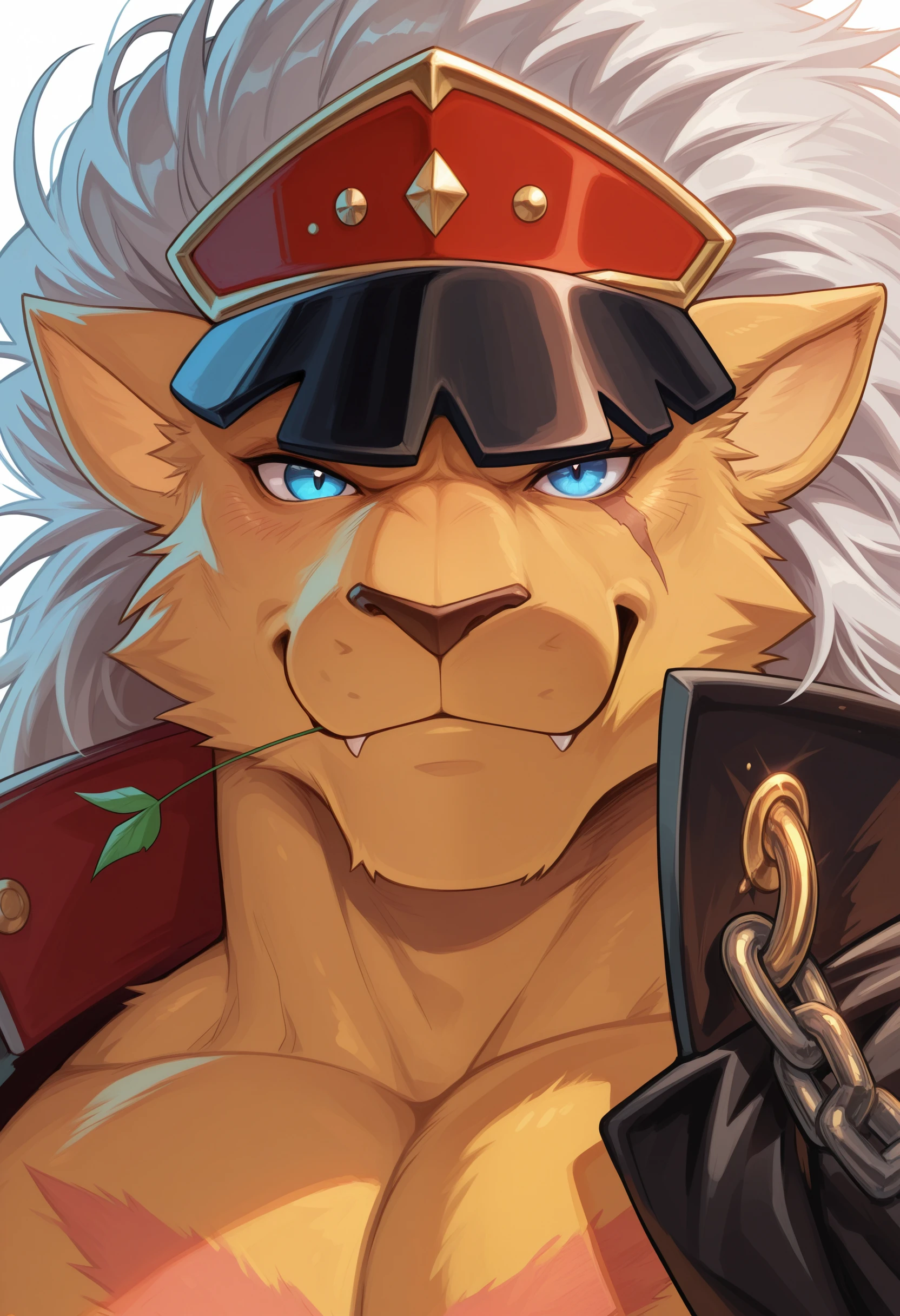 Bancholeomon Illustrious