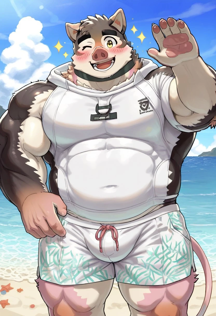 Tetsuyori takaname characters pig v1.0
