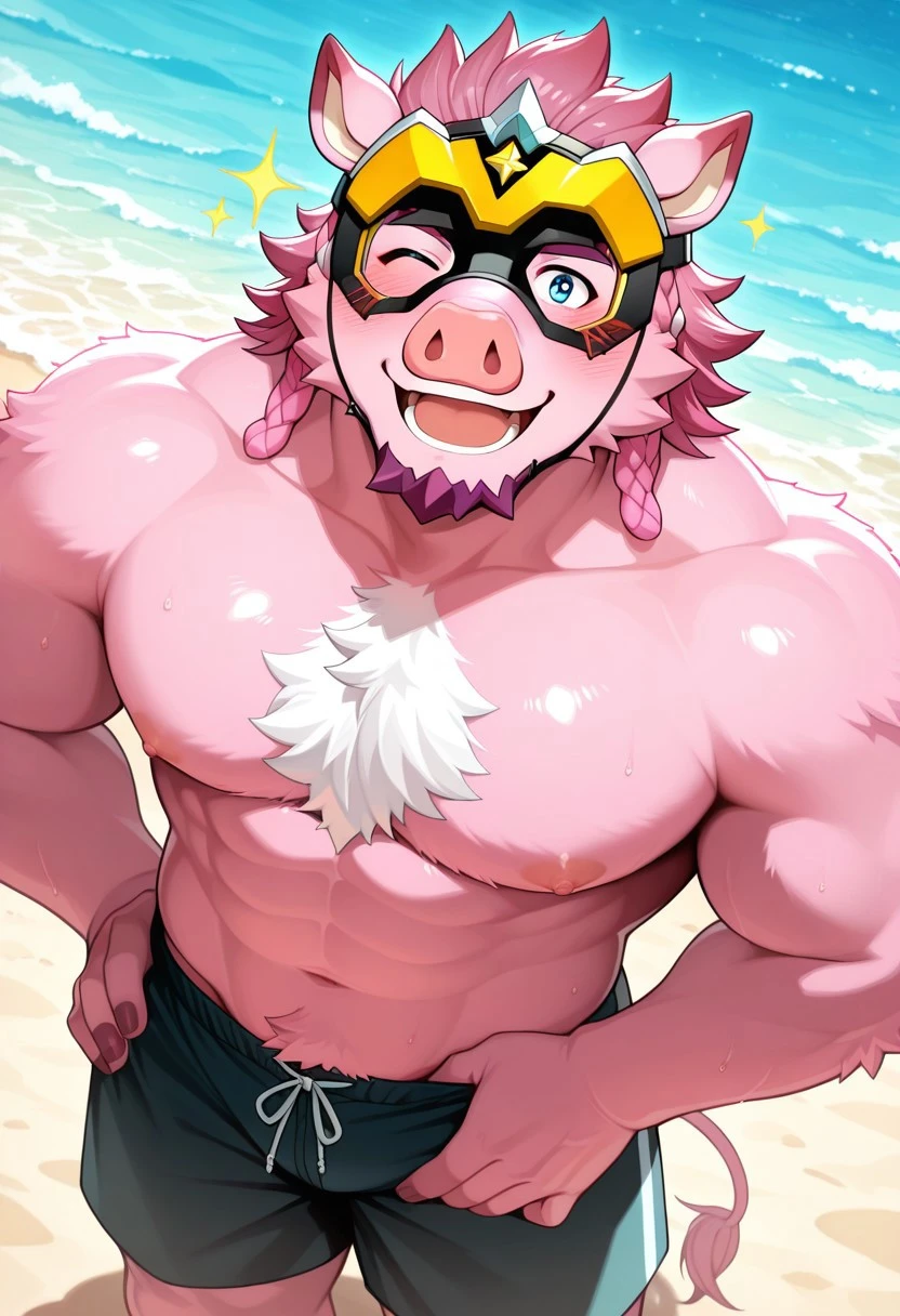 Hosabane butawami characters pig v1.0