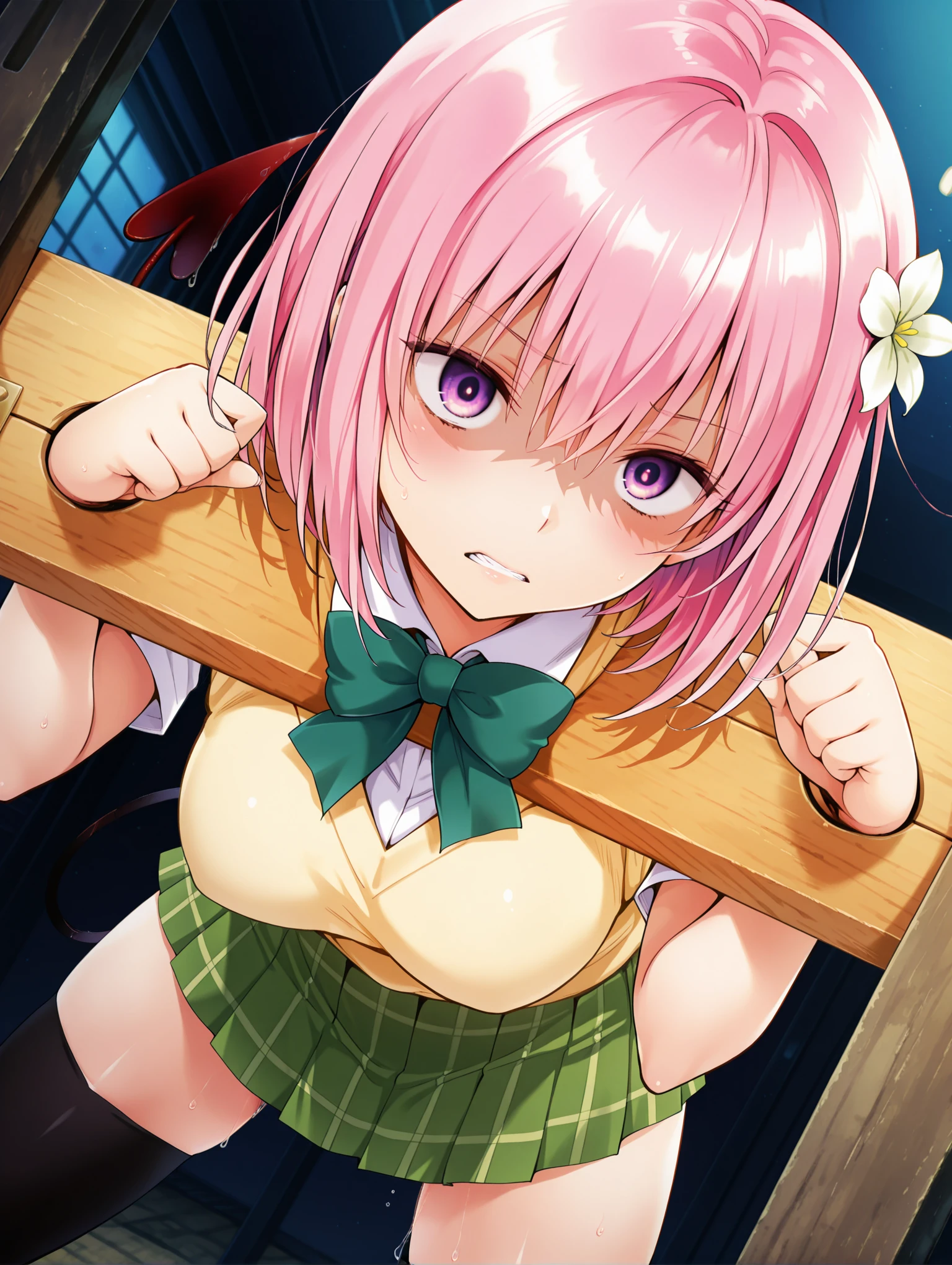 【Illustrious】晒す。【pillory】 v1.0