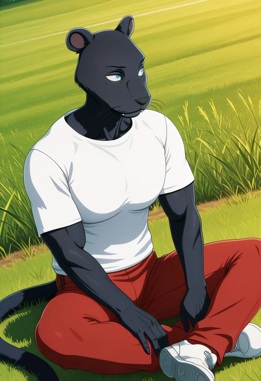 Preview 4