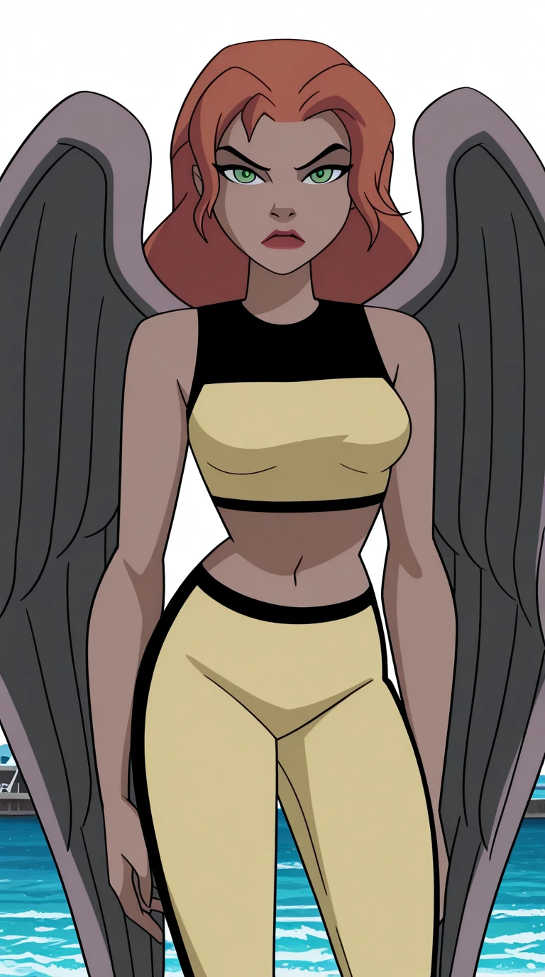 Hawkgirl / Shayera Hol - Justice League - COMMISSION dcau jlu