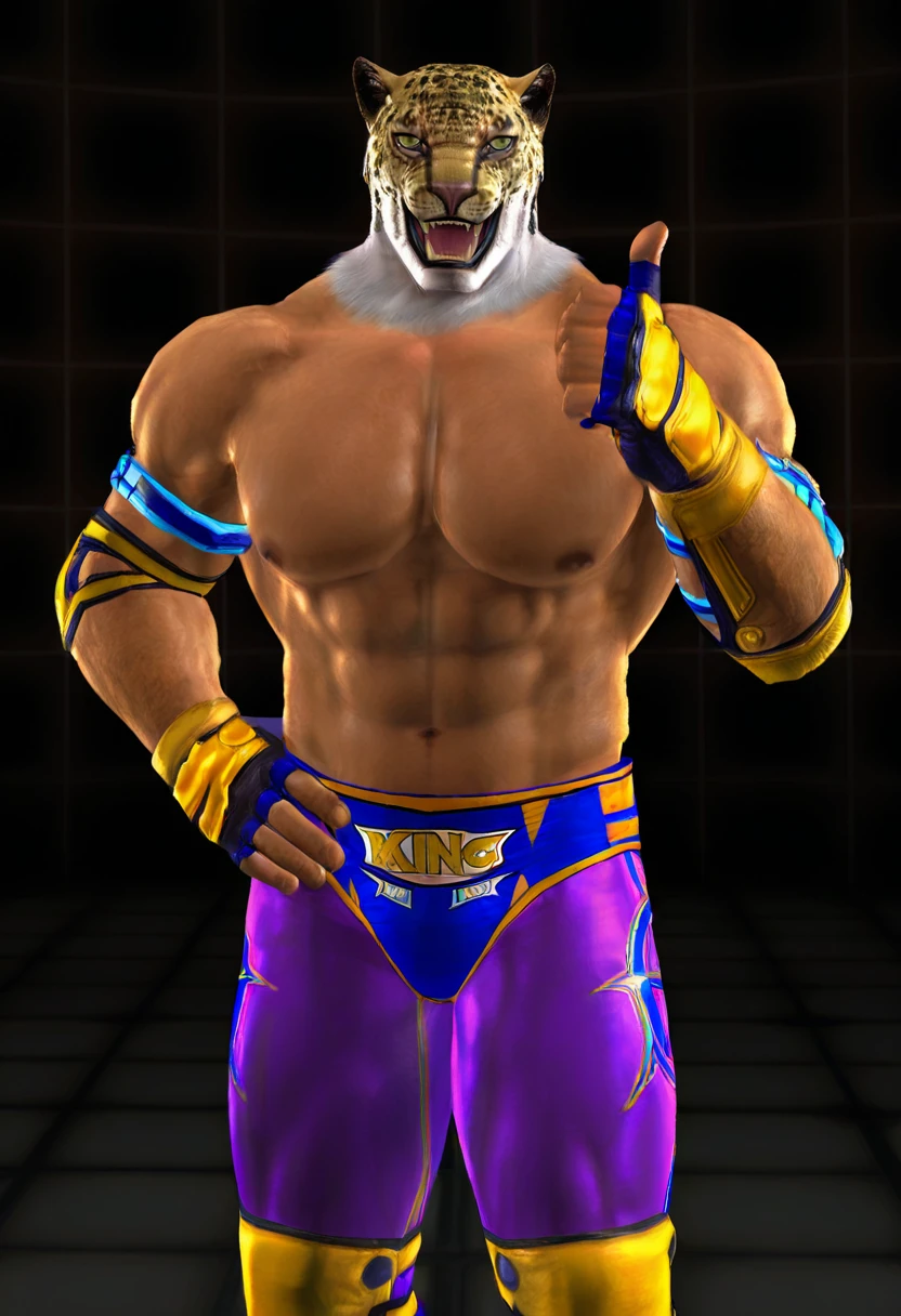 King (Tekken Tag 2) (P1) (PS3) [64DIM] [E20]