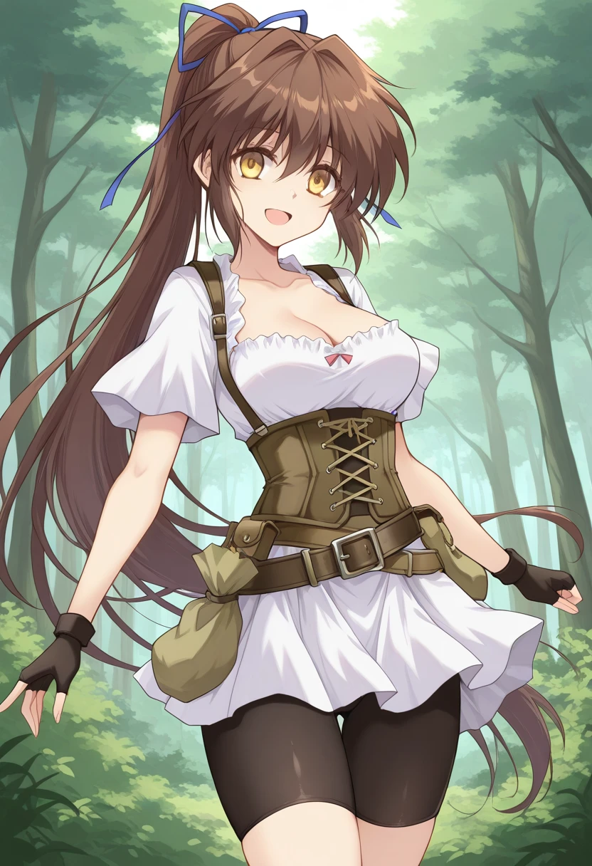 Aisha - Barony Sengya (Danshaku Ryou/男爵領) Games ponyv2