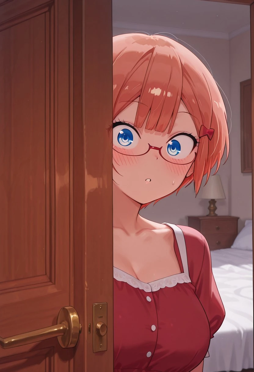 open_door - Concept open door (surprised)