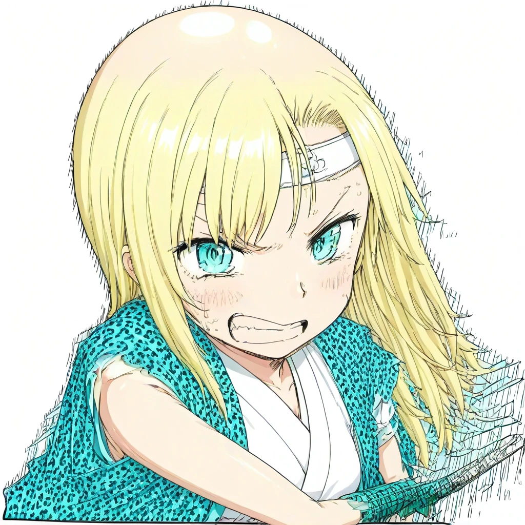kasiwazaki sena V1