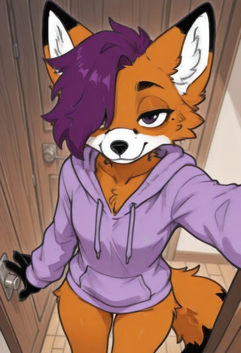 Vix the fox ((Commission)) V1