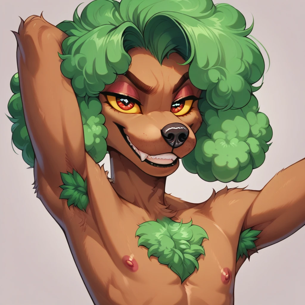 DasPudel (Furry) [PonyXL / Illustrious] - V3 ( in Hell v2.0) V3 (Yiff in Hell v2.0)