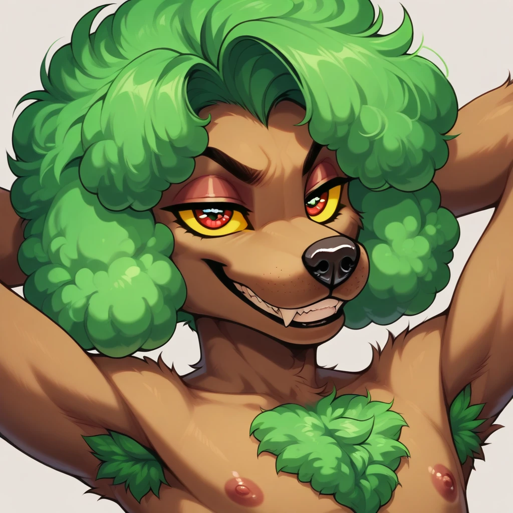 DasPudel (Furry) [PonyXL / Illustrious] V11 (IffyMix XL)