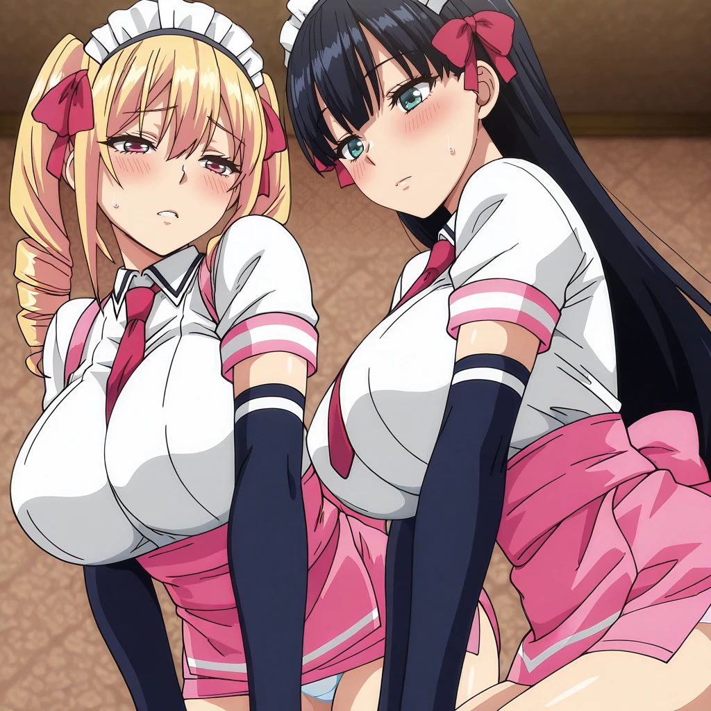 Mayoiga no Oneesan The Animation V1