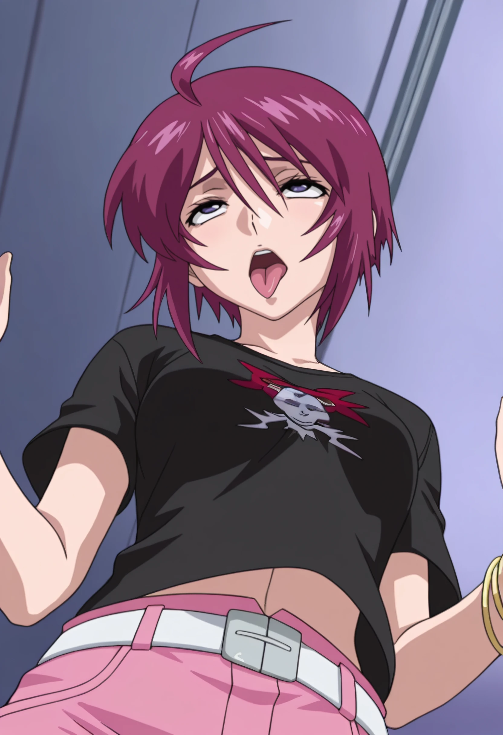 Lunamaria Hawke - Gundam SEED Destiny - 4 Outfits - Illustrious/SDXL v1.0