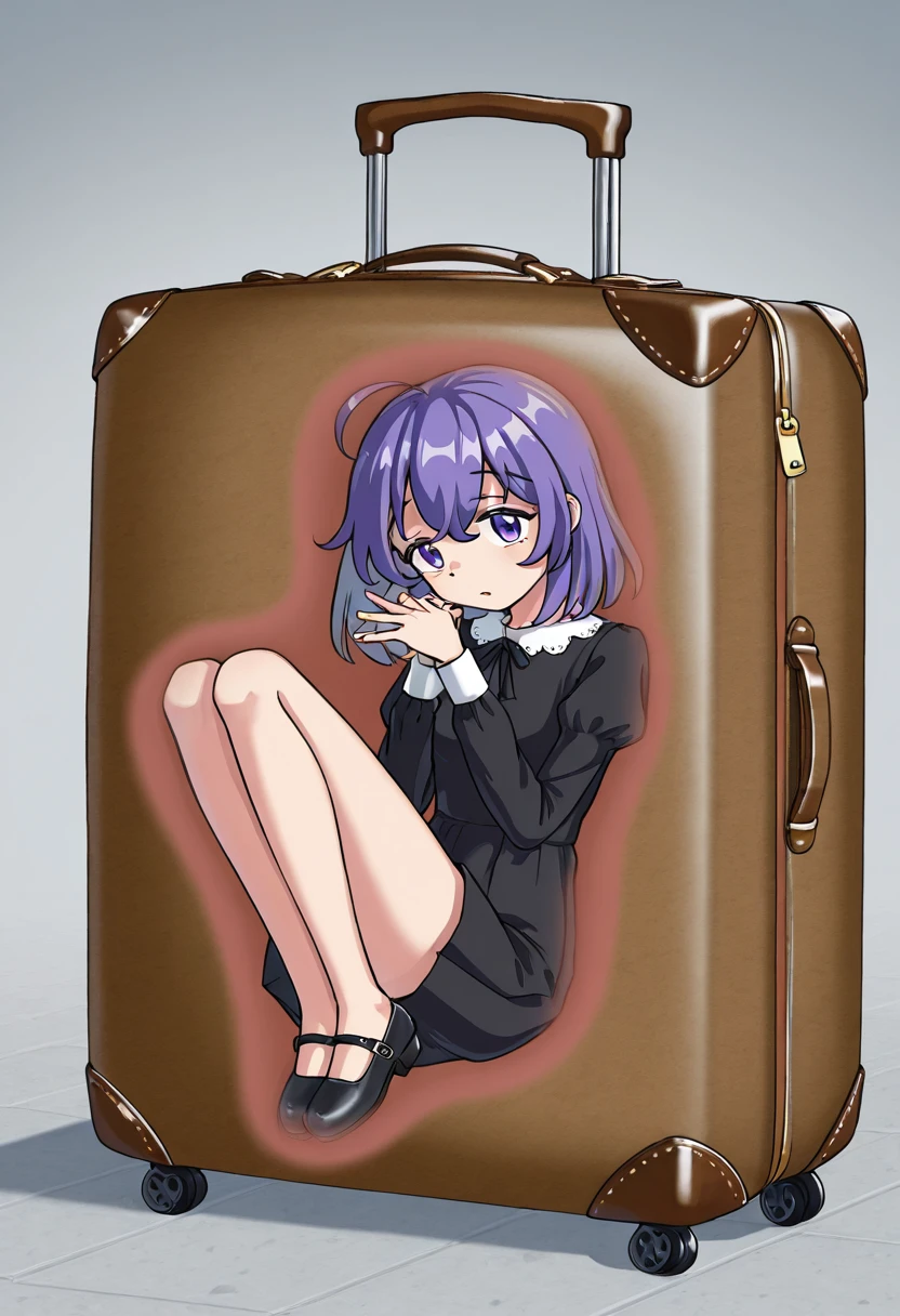 X-Ray Container IL [Concept] (Different Dimension) v1.0