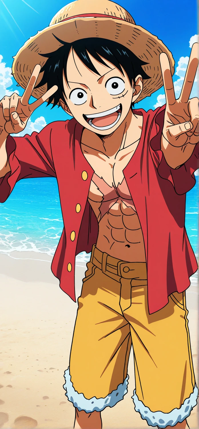 Monkey D. Luffy / One Piece V1