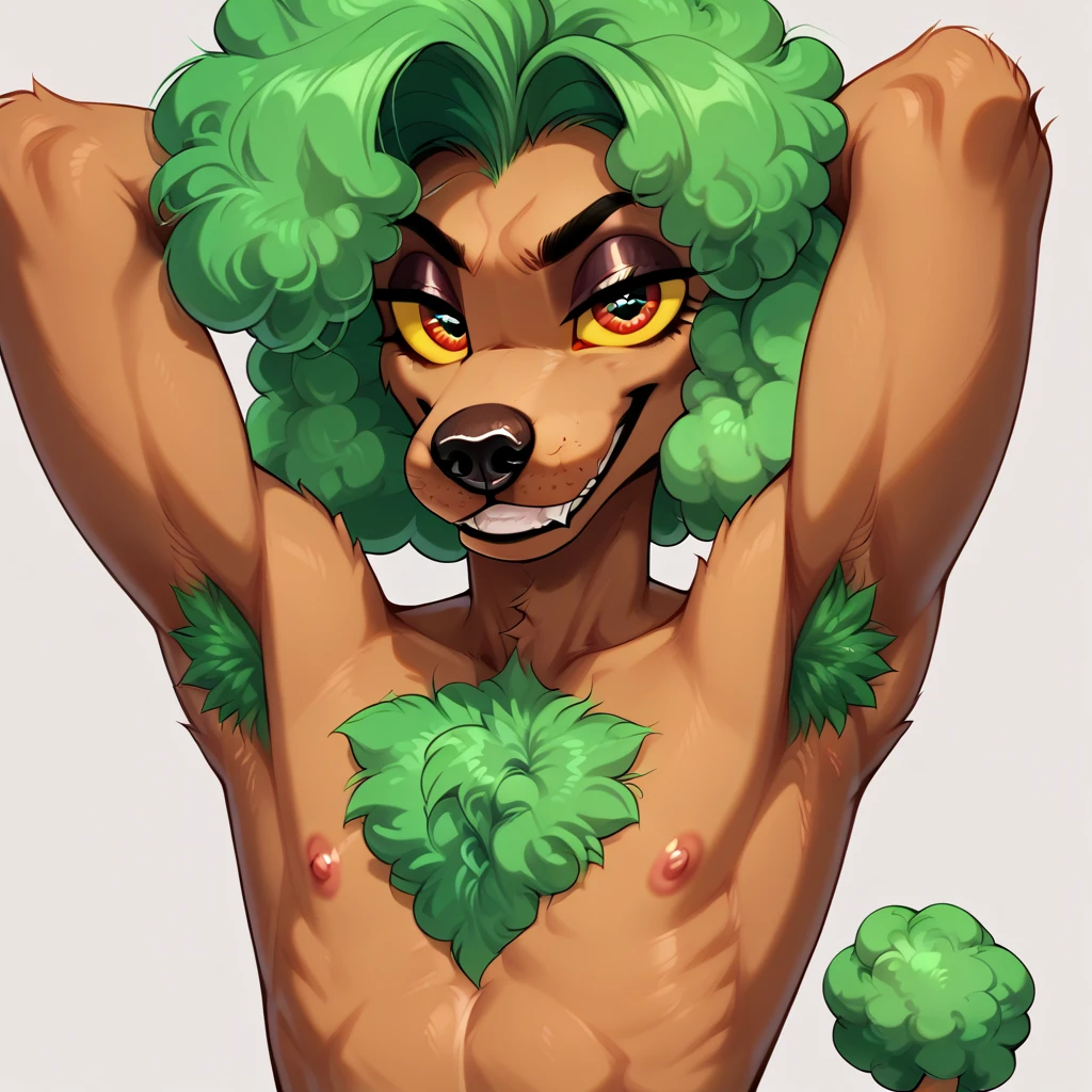 DasPudel (Furry) [PonyXL / Illustrious] Indigo Void Furry Fused X