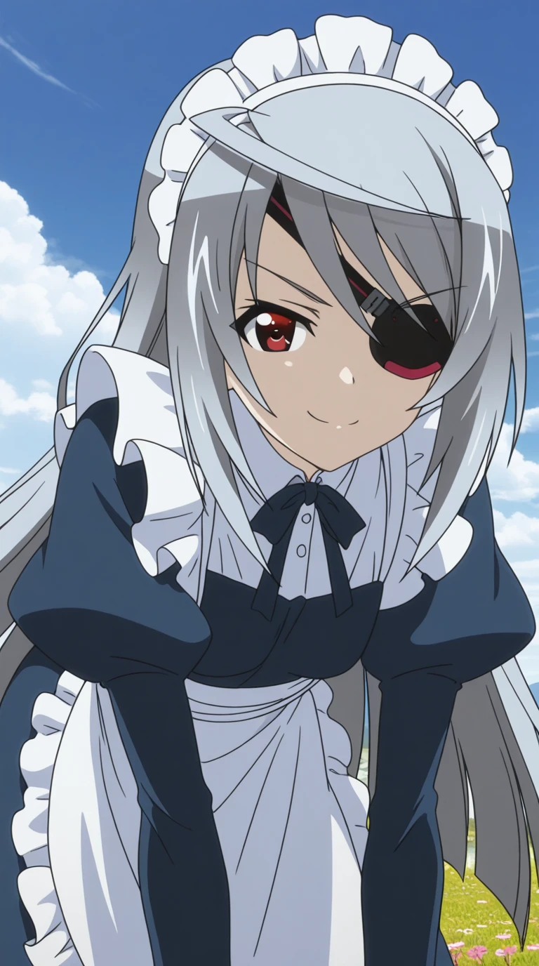 Laura Bodewig (ラウラ・ボーデヴィッヒ) - Infinite Stratos (IS 〈インフィニット・ストラトス〉)