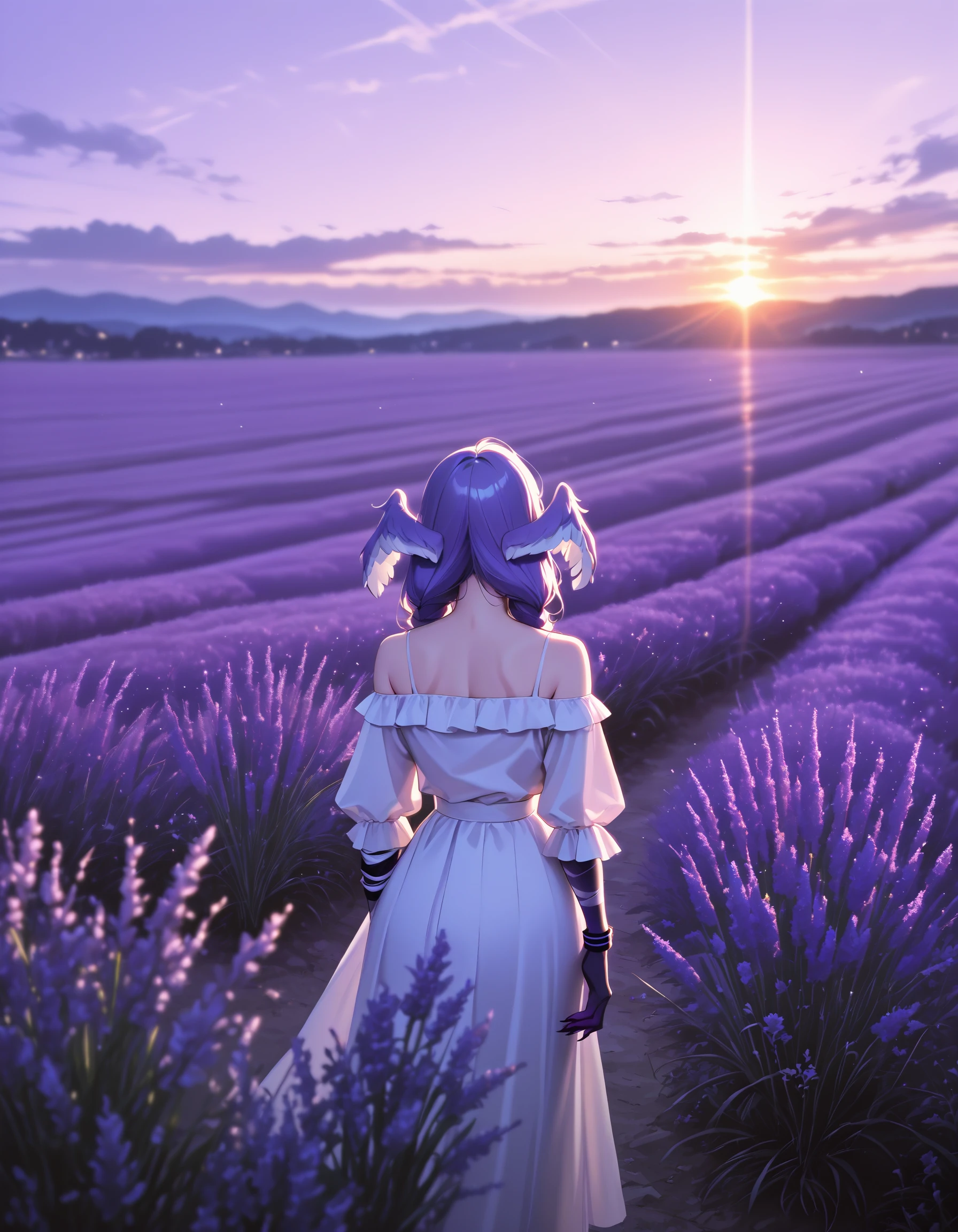 Lavender Fields in Provence, France