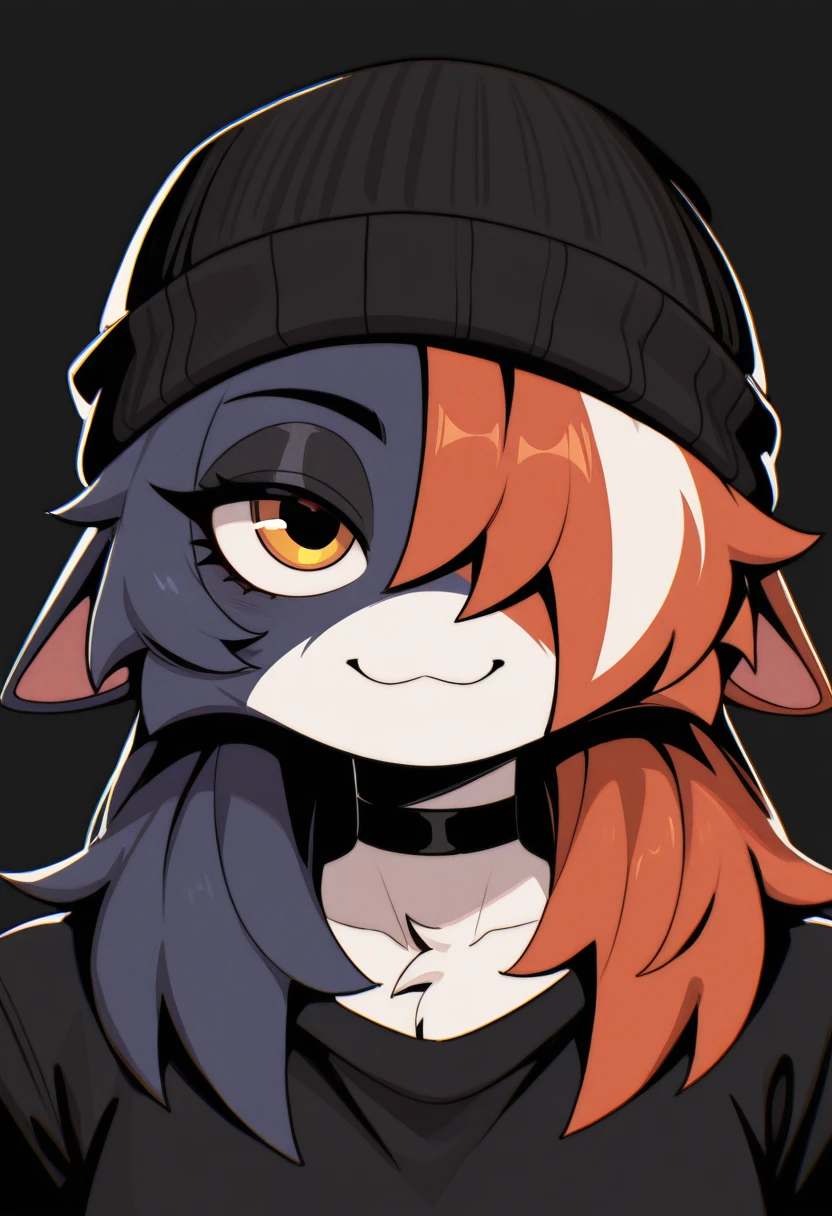 Meowskulls/ Skater skulls - Tuna256_rel_260420