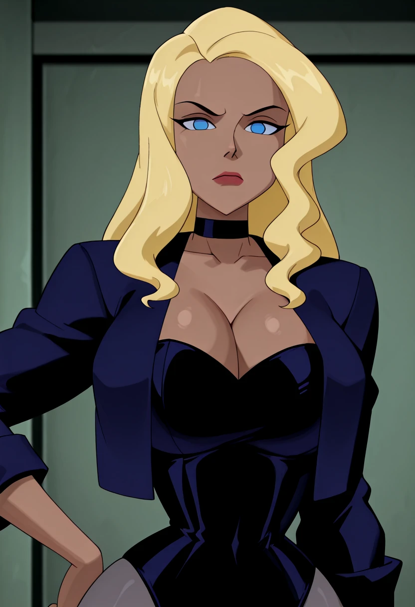 Black Canary (Justice League: Unlimited) v1.0