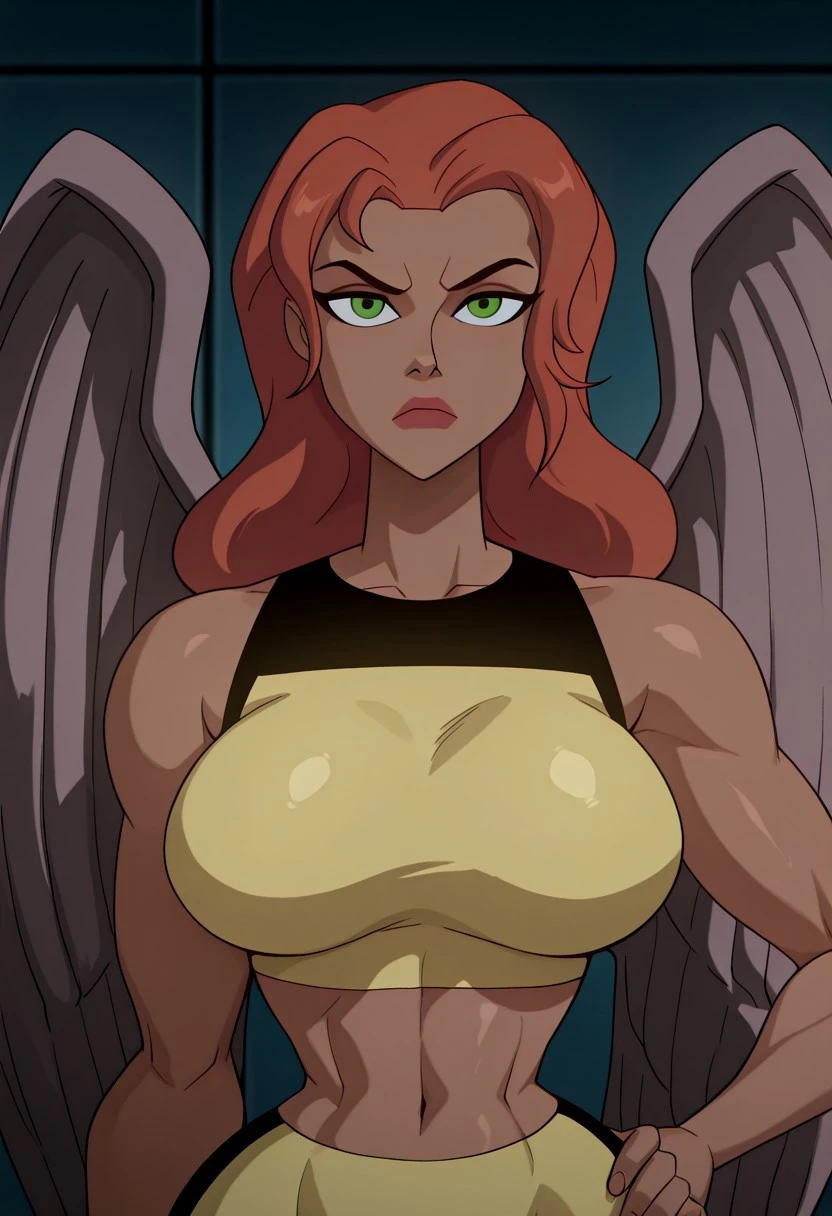 Hawkgirl (Justice League: Unlimited) V1