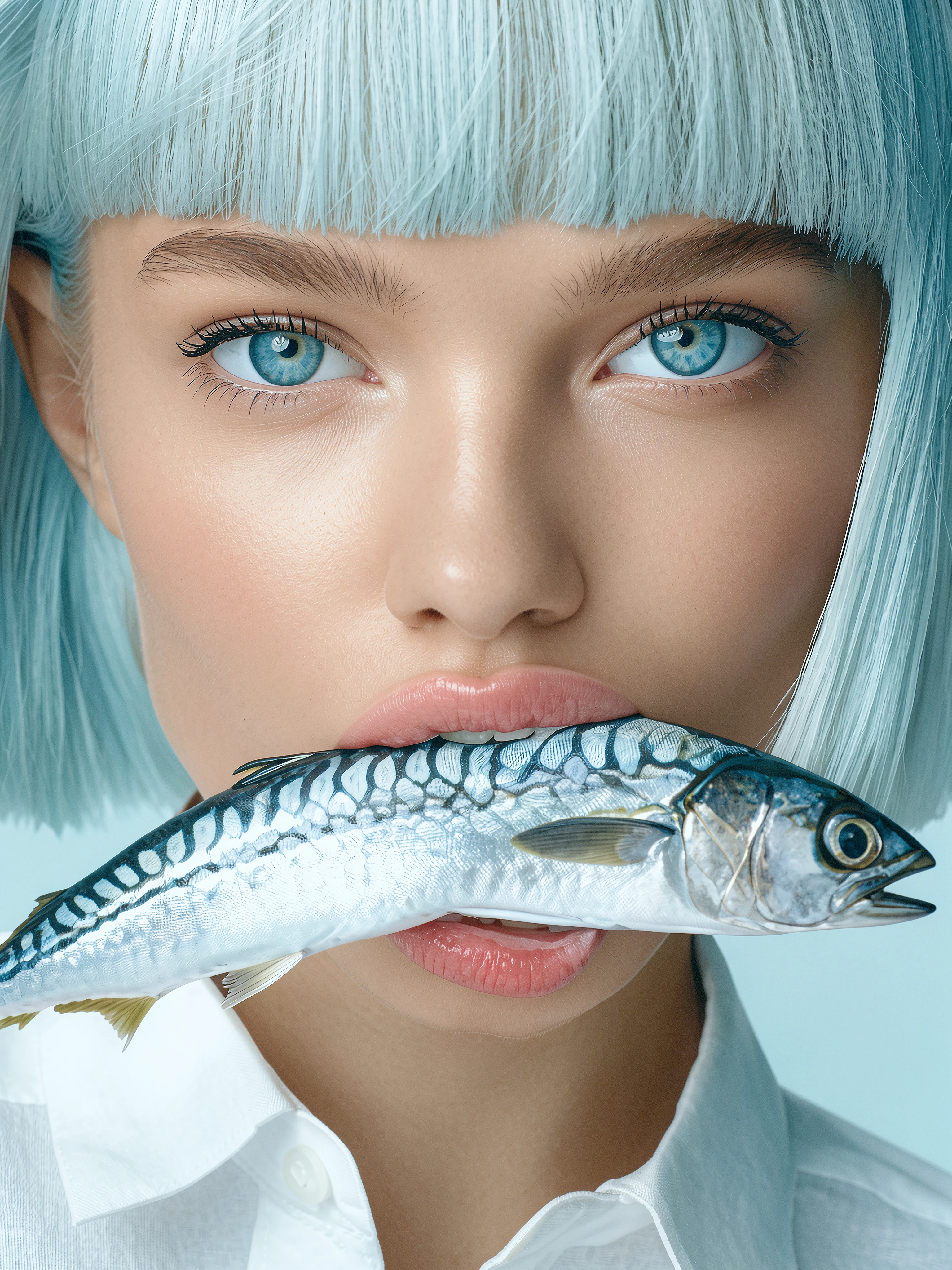 High resolution Klein4B_v1.0