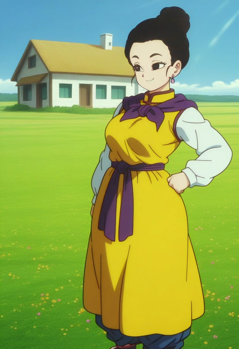 Chichi - Dragon Ball Majin Buu Saga