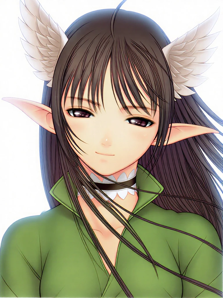 Shining Tears/Shining Wind-Xecty_Ein-Flux1 v1.0