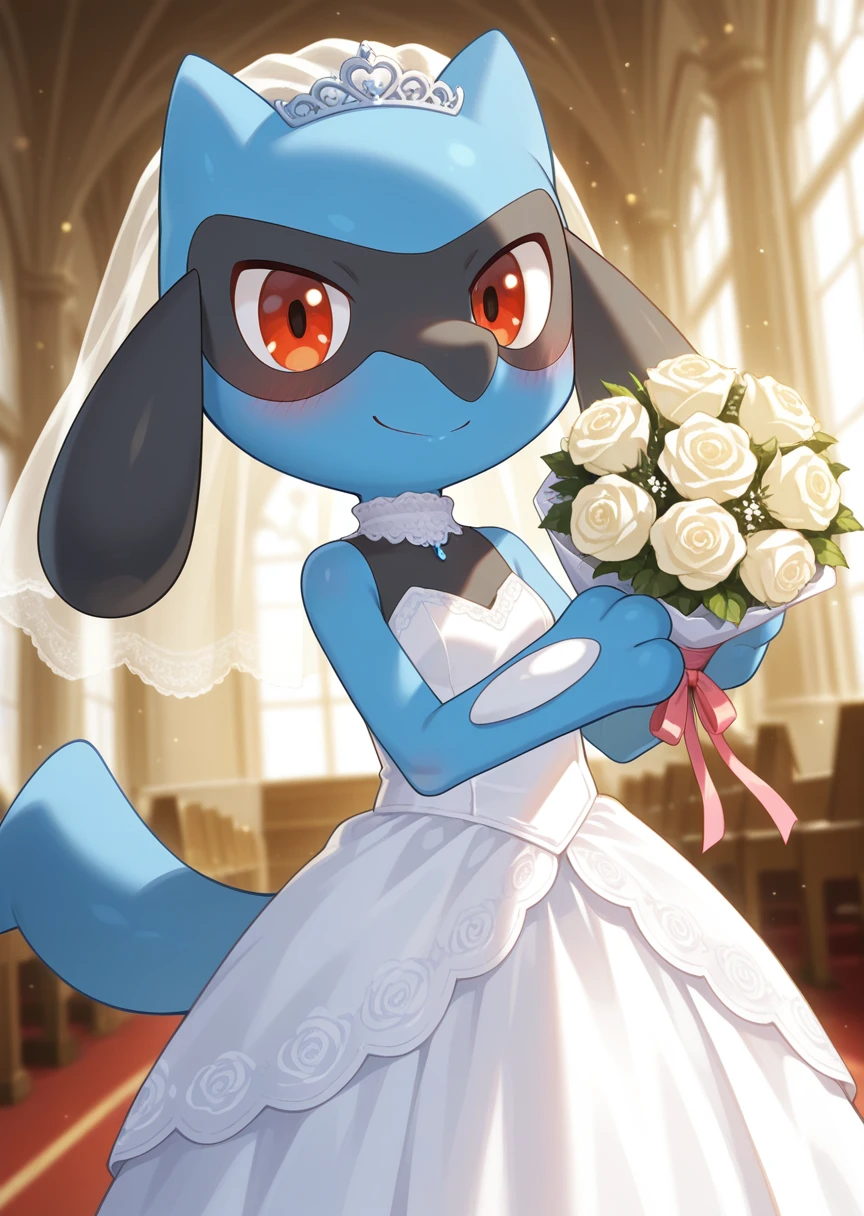 Riolu (pokemon) v1.0