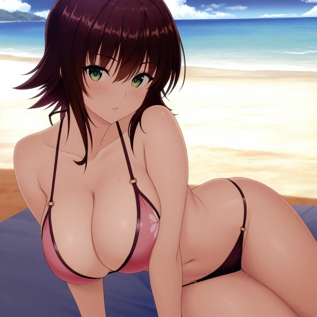 Ruouko Mikado (To-Love Ru) v1.0 [illustrious]