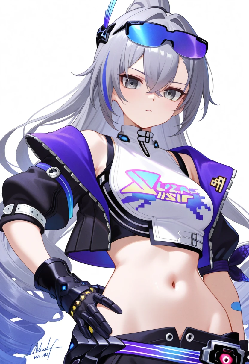 silver wolf (lv.999) (honkai star rail) || 狼尊 崩坏：星穹铁道 v0.9[IL-XL-V1.0]
