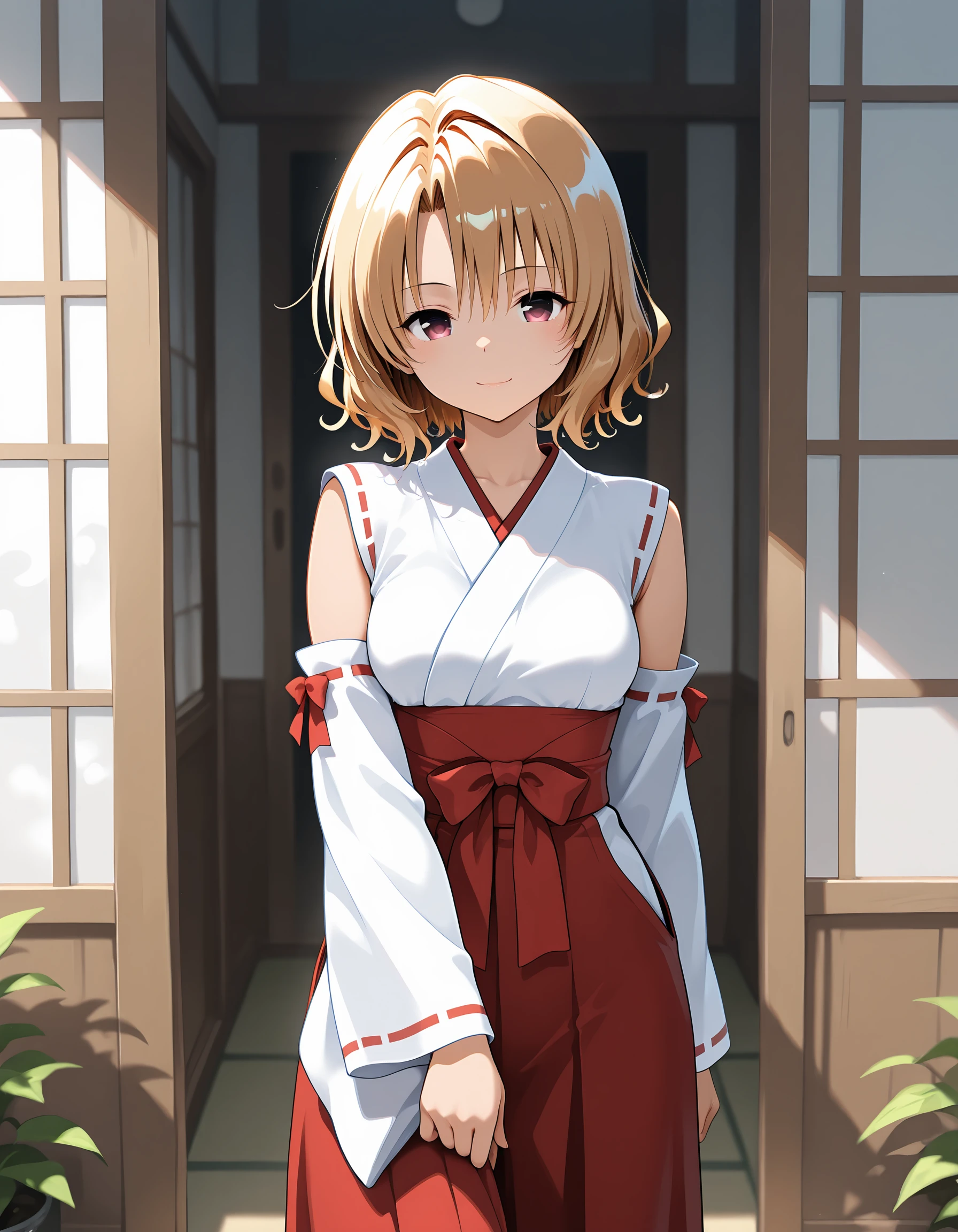 miko costume-illustrious v1.0