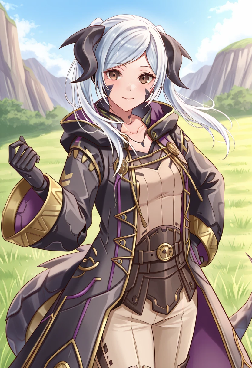 Robin - Fire Emblem Shadows v1.0