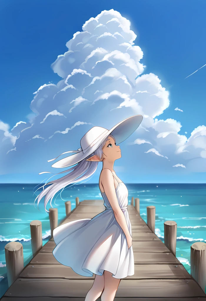 Pier V1
