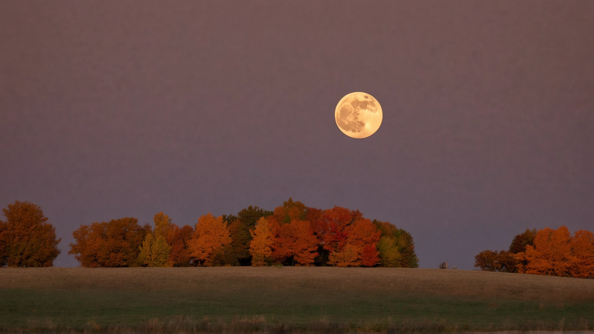 Landscape Photography_v1_1080p v1_1080p