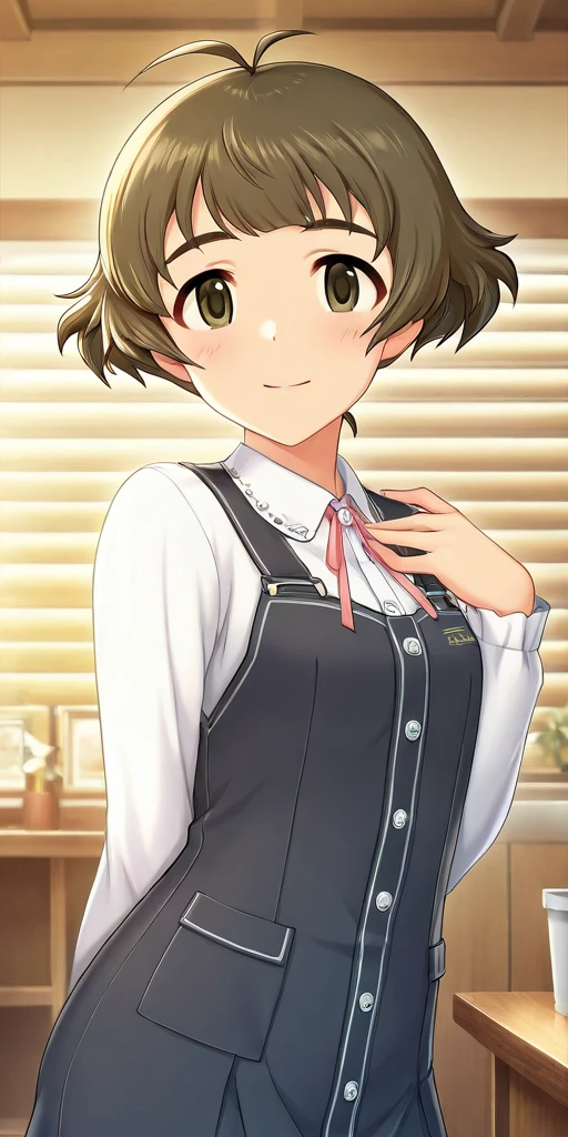 秋月涼（DS・モバマス・デレマス一枚絵学習バージョン）（IllustriousSDXL） v1.0