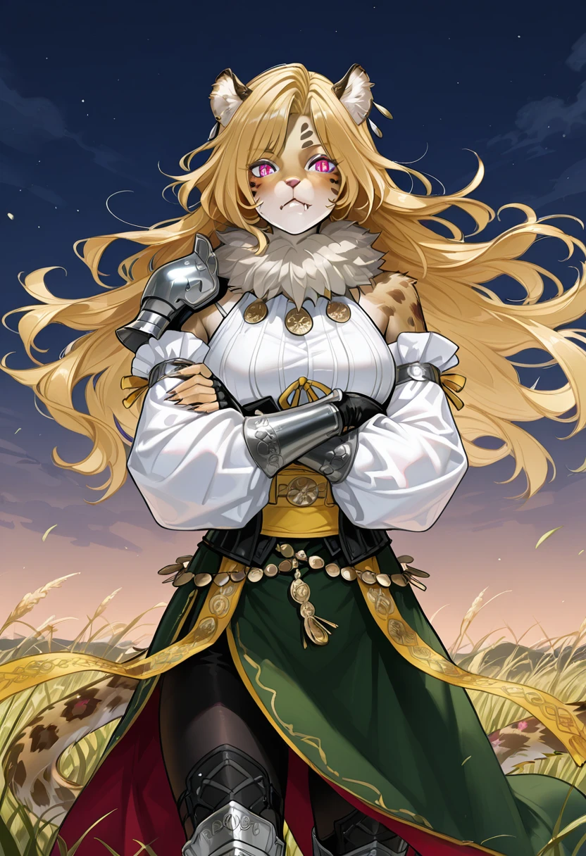 Shadow Hanya - Fire Emblem Shadows v1.0