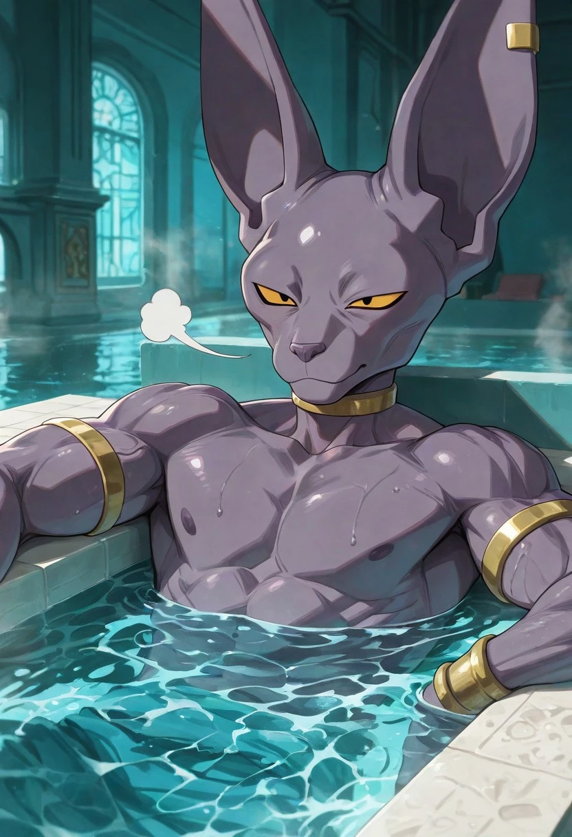 Beerus - Dragon Ball V1