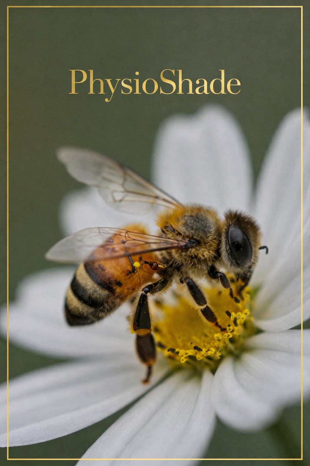 PhysioShade Detail_Enhancer for ZimageTurbo ZIT_v1.0