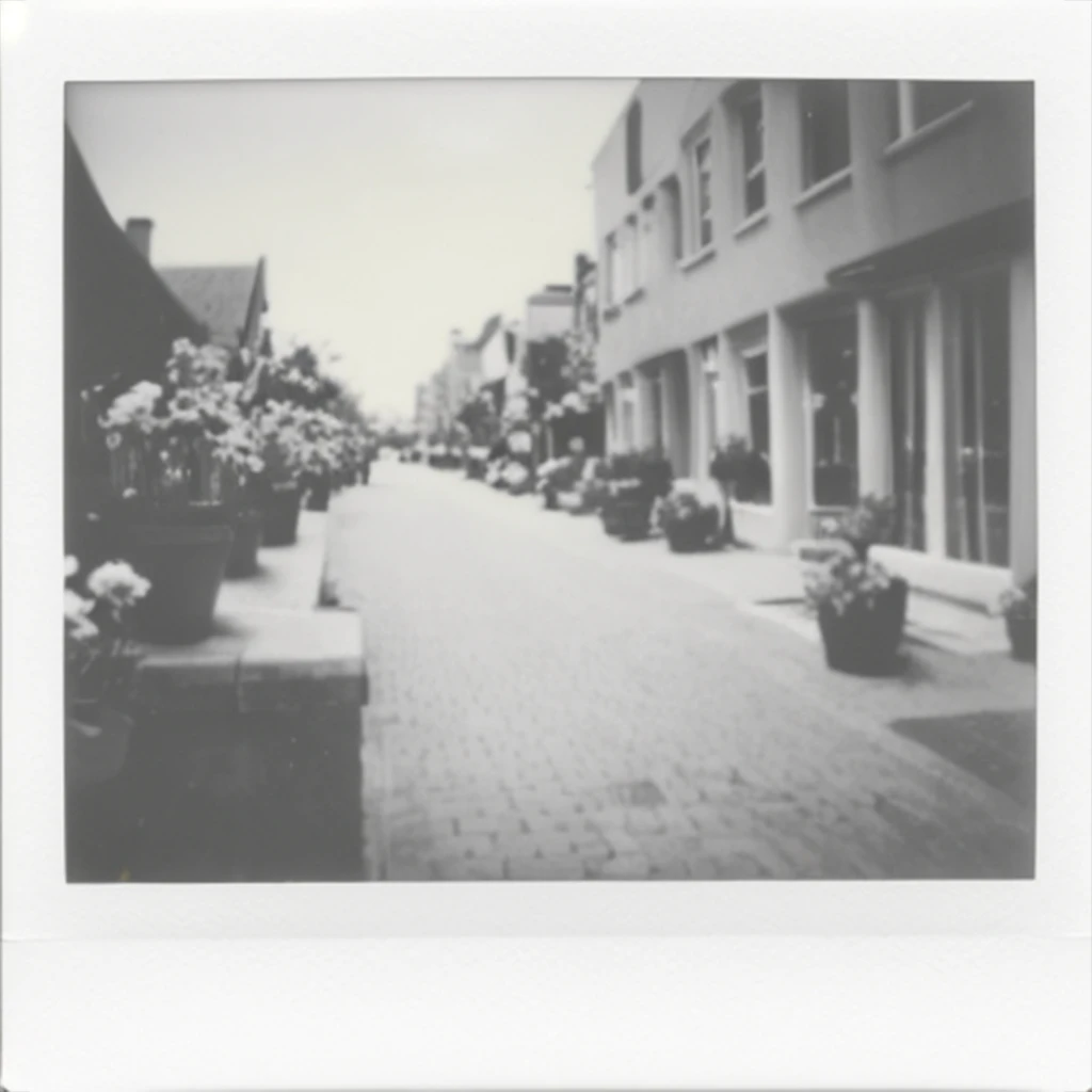 InstantFilm - Pale B&W [sd] v1.0