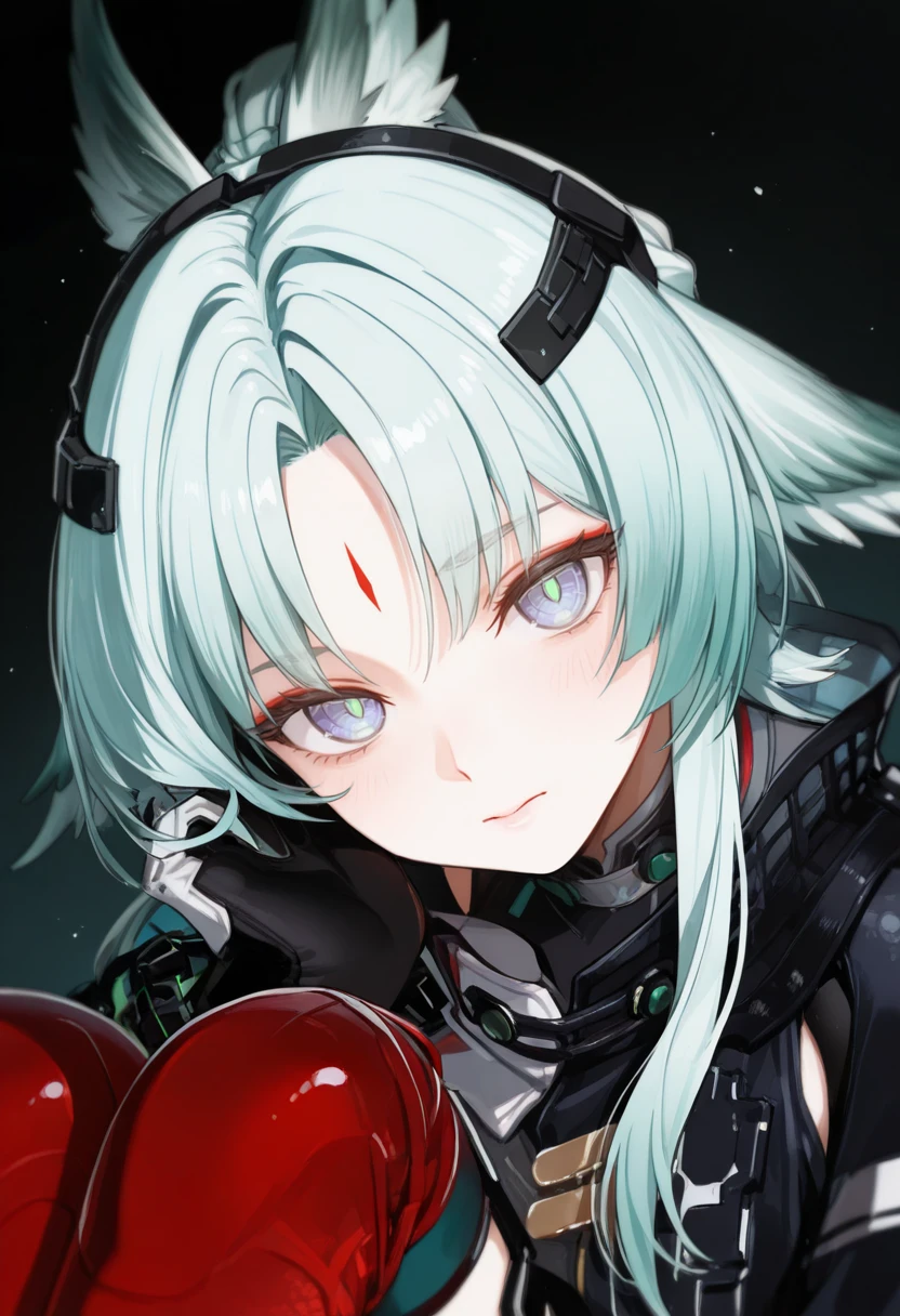 Arcane 诀 — Arknights: Endfield 明日方舟：终末地 [Anima + Illustrious] v1.0 Anima
