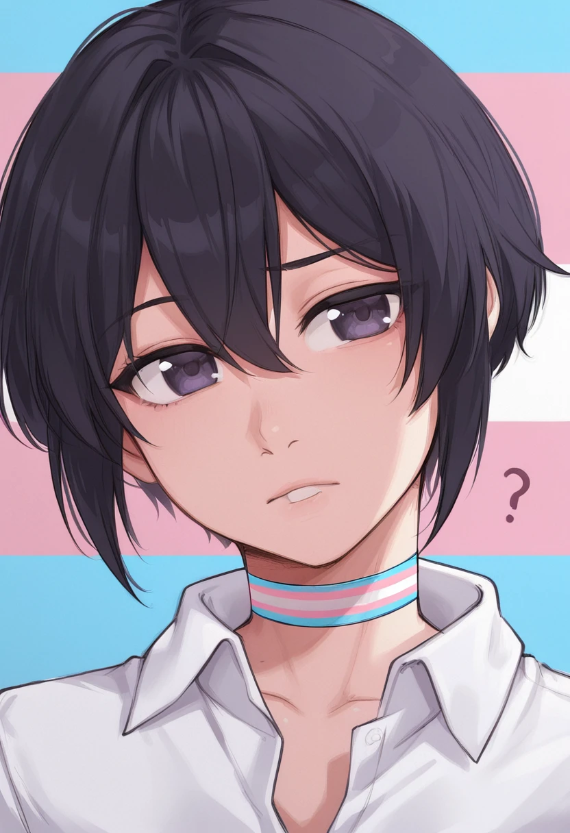 Transgender Flag Print V1