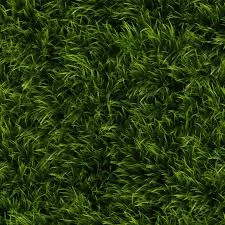grass v1.0