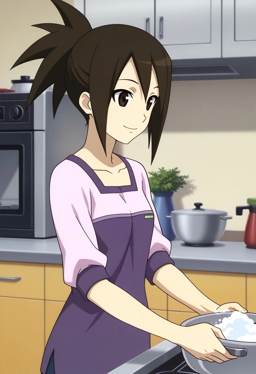 Hope Stelar/Akane Hoshikawa (Mega Man Starforce) V1