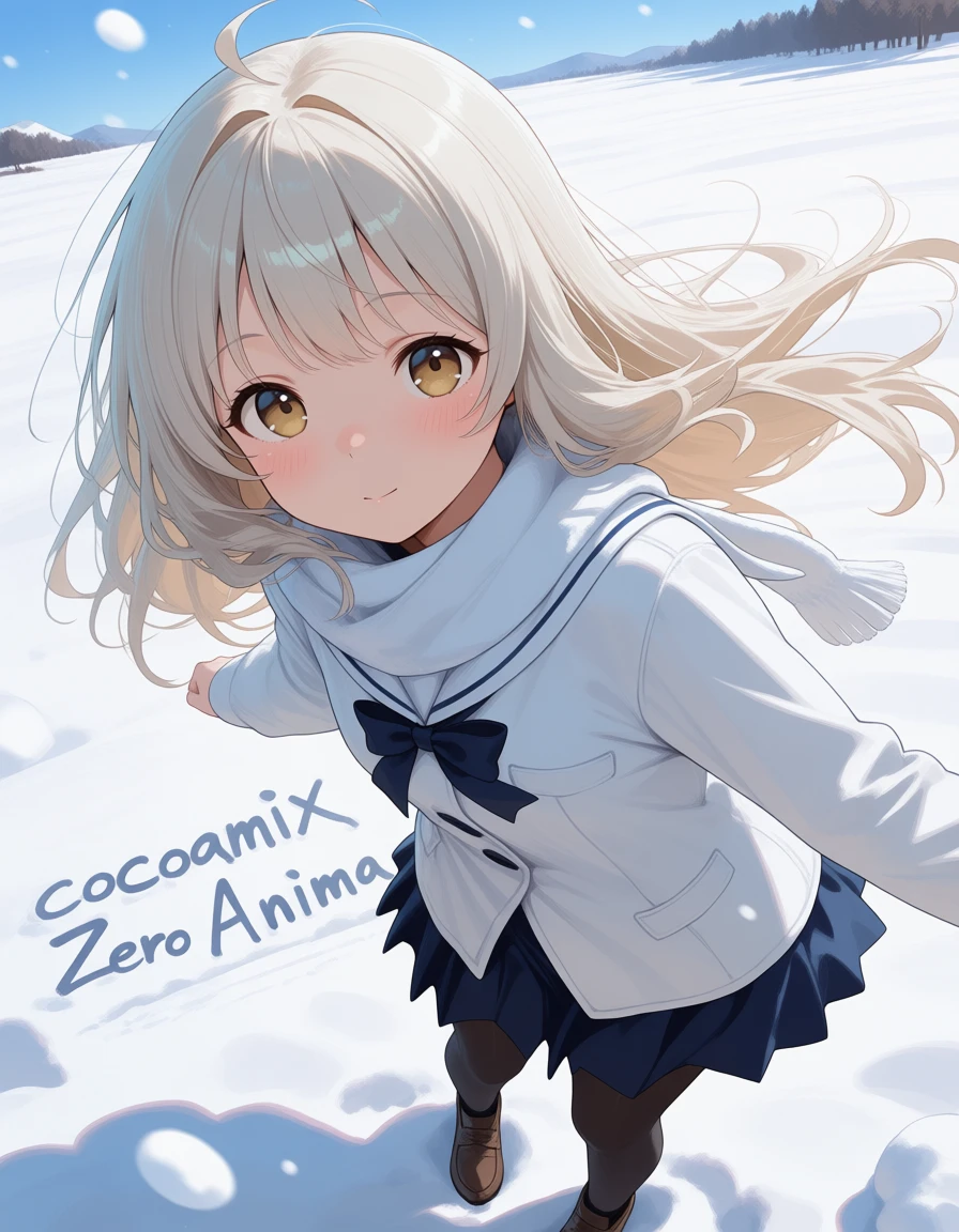 cocoamix zero Anima v1.0