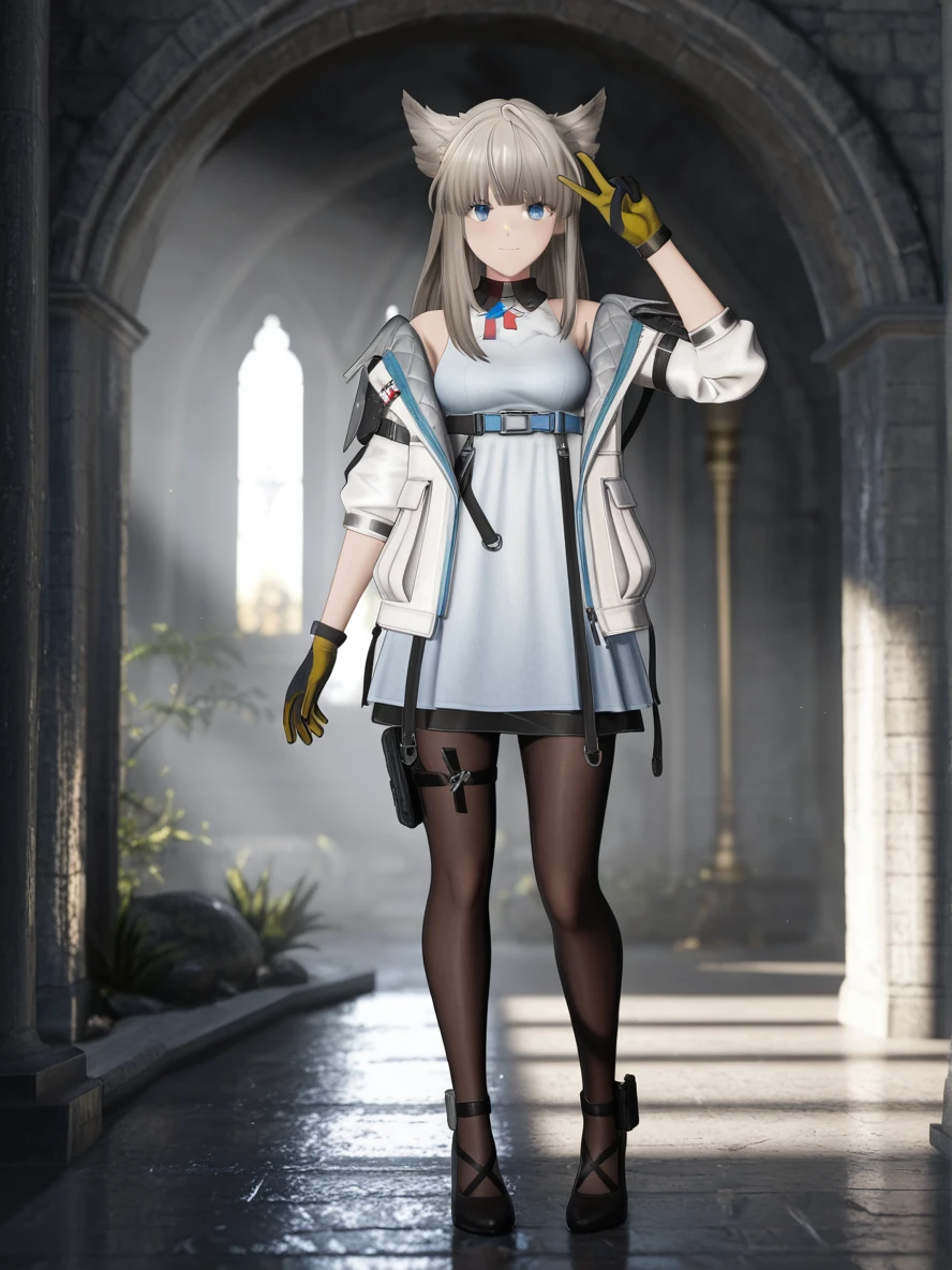 Perlica🎮| Fortnite/Arknights: Endfield v 1.0 🎨Illustrious
