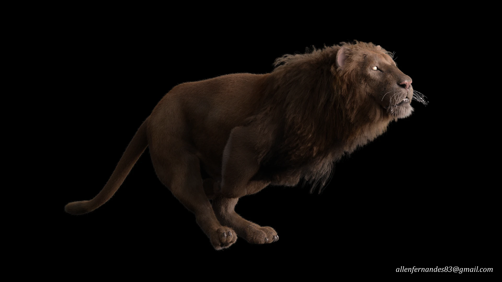 Lion Artwork