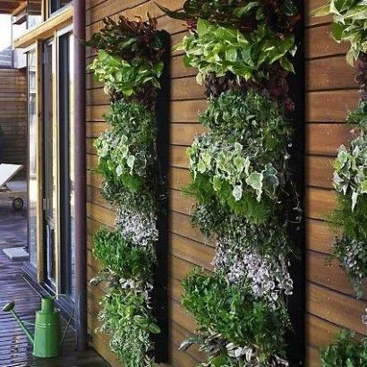 Creation of a three-dimensional green transitional space.